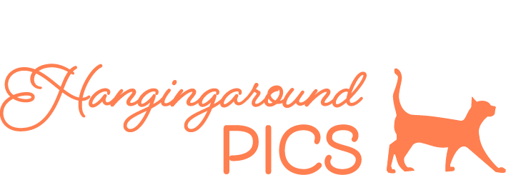 Hangingaround Pics-logo